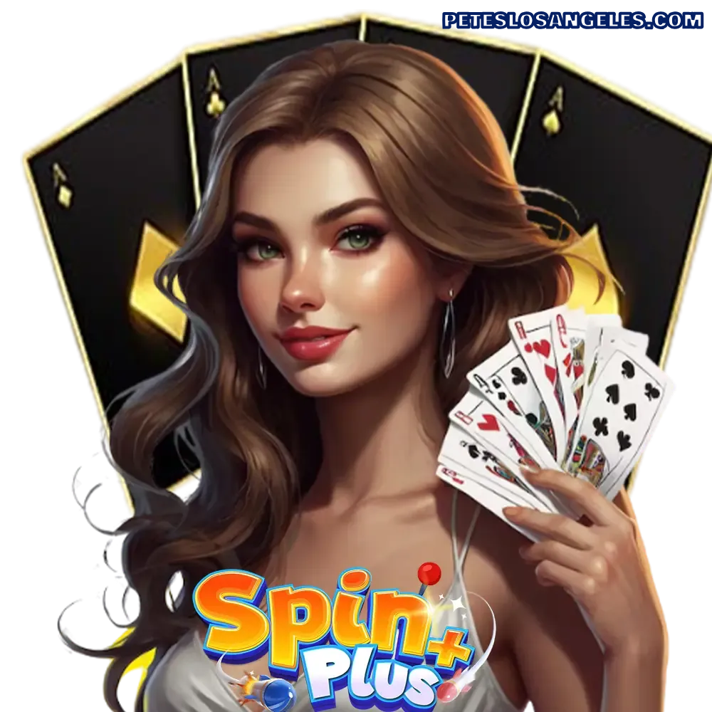 pinplus ทางเข้า