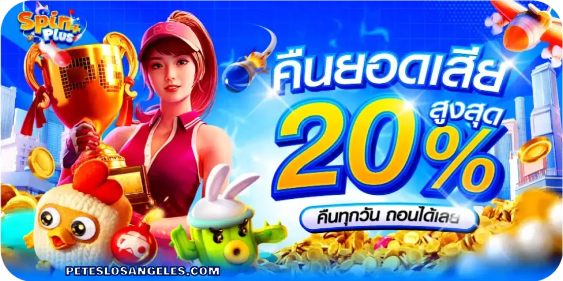 pinplus ทางเข้า